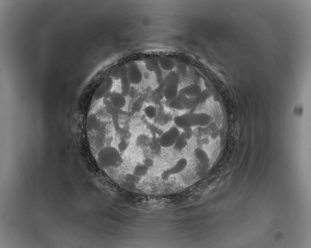 X0000099421351200805301358