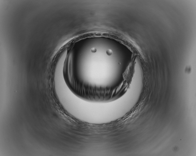 X0000099421352200805301358