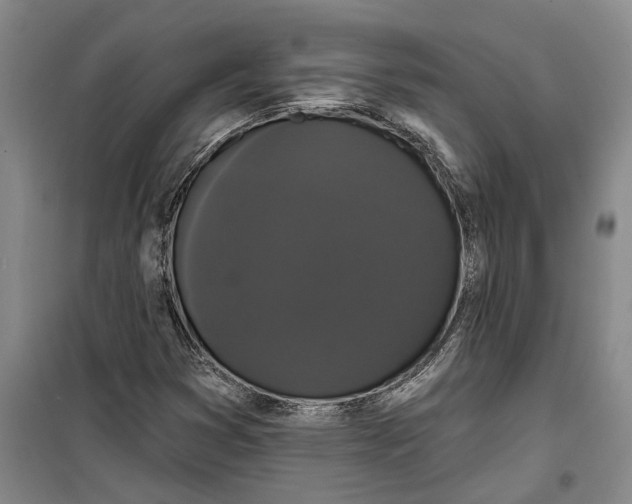 X0000099421353200805301358