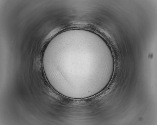 X0000099421354200805301358