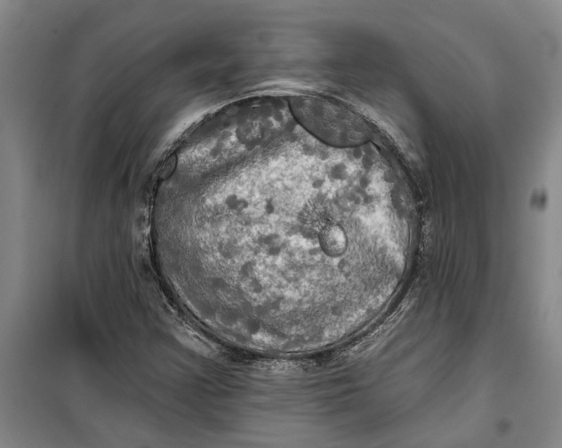 X0000099421355200805301358
