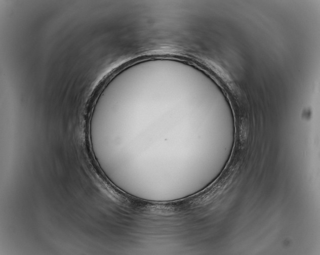 X0000099421356200805301358