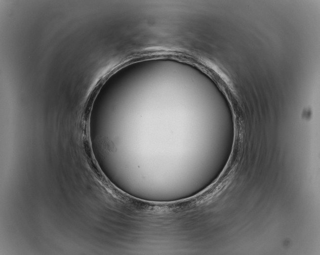 X0000099421357200805301358
