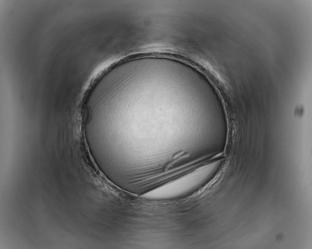 X0000099421358200805301358