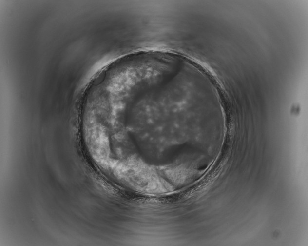 X0000099421359200805301358
