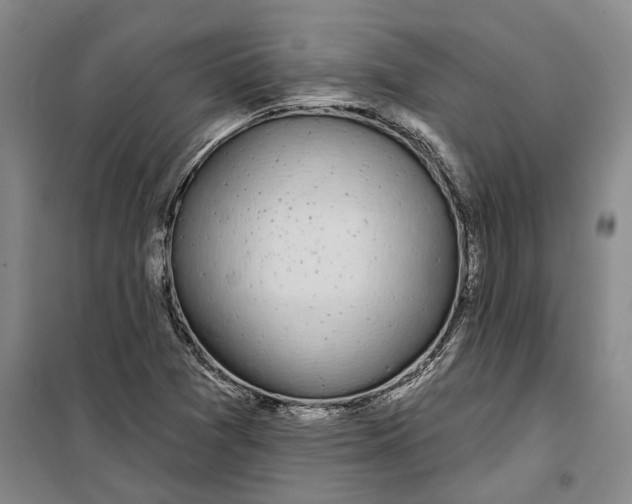 X0000099421361200805301358