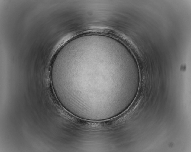 X0000099421362200805301358