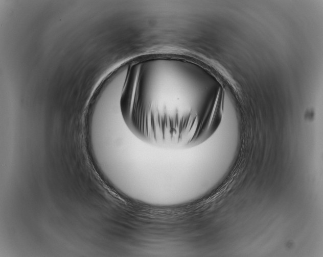 X0000099421364200805301358