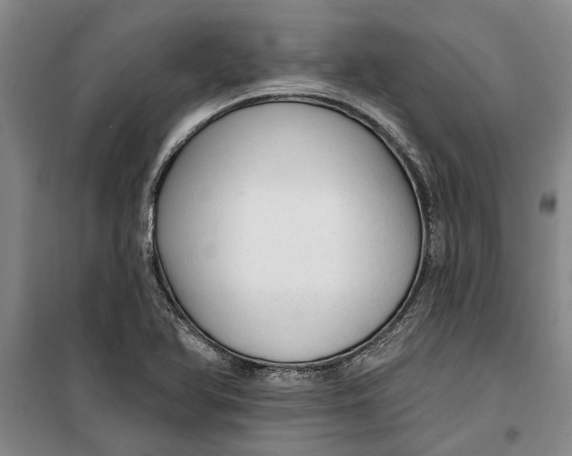 X0000099421366200805301358
