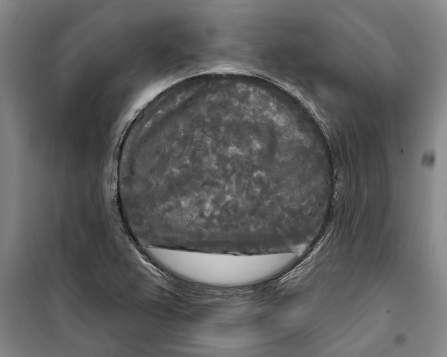 X0000099421367200805301358