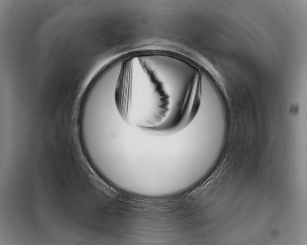 X0000099421368200805301358