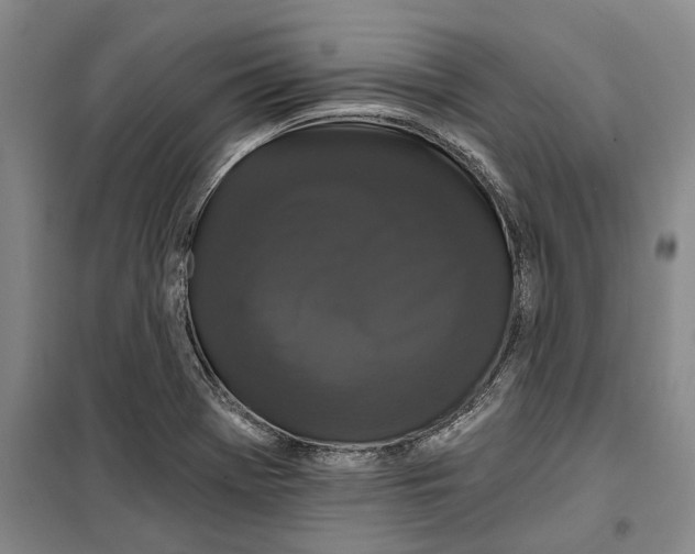 X0000099421369200805301358
