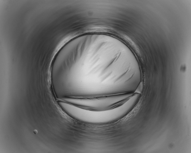 X0000099421370200805301358