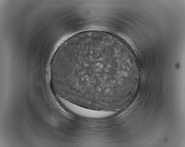 X0000099421371200805301358