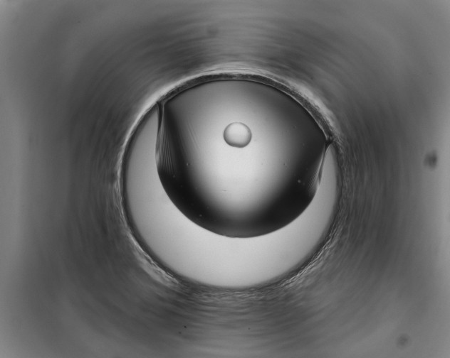 X0000099421372200805301358