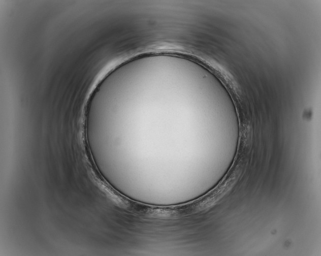 X0000099421374200805301358