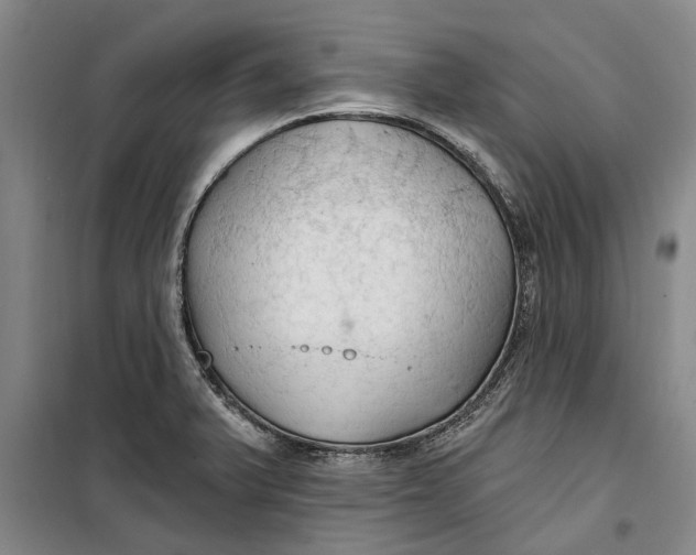X0000099421375200805301358