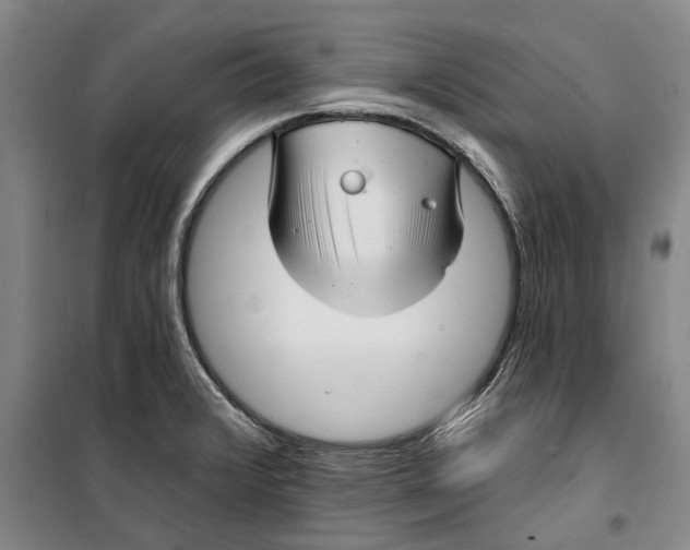 X0000099421376200805301358