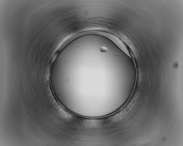 X0000099421377200805301358