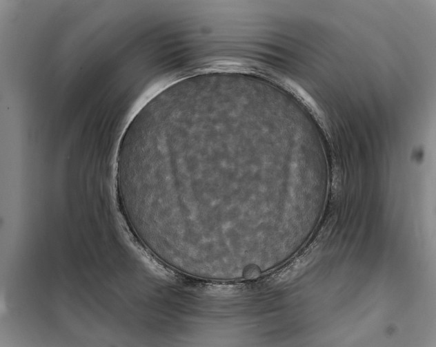 X0000099421378200805301358