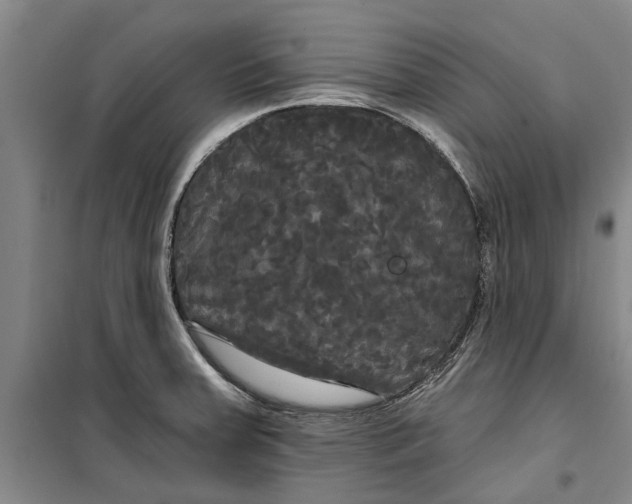 X0000099421379200805301358