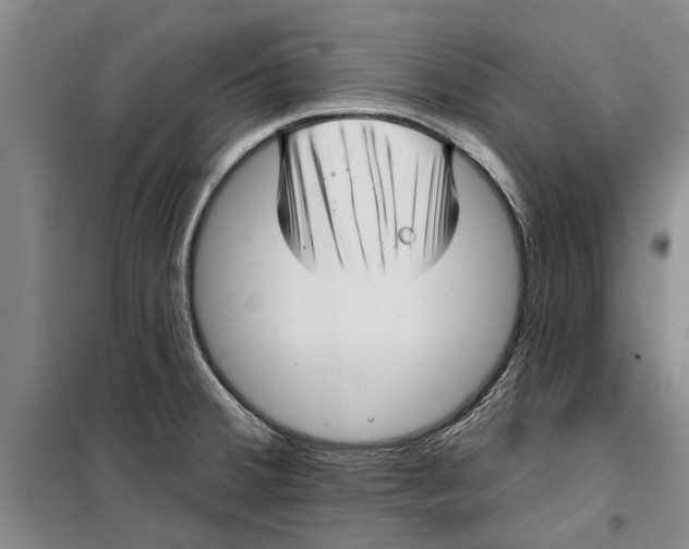 X0000099421380200805301358