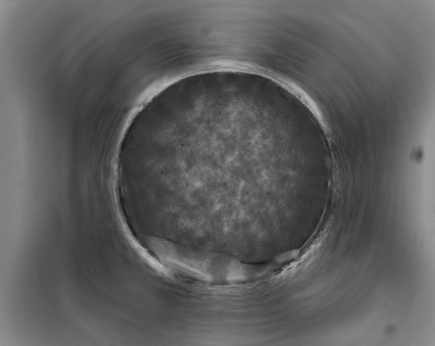 X0000099421381200805301358