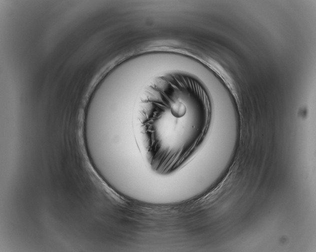 X0000099421384200805301358