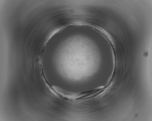 X0000099421385200805301358