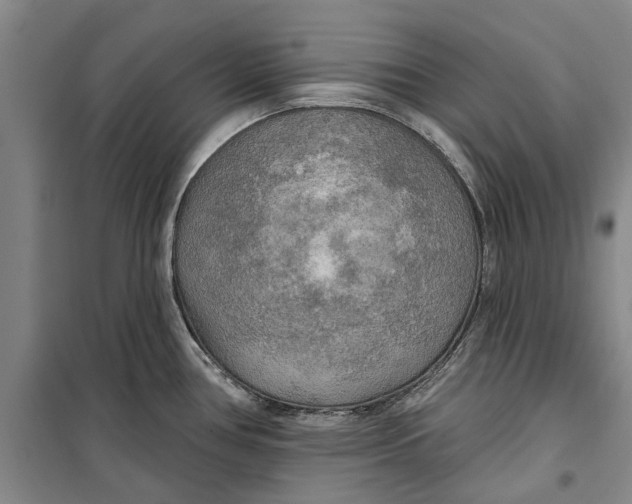 X0000099421386200805301358