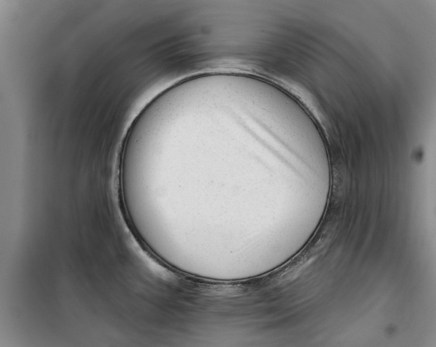 X0000099421387200805301358