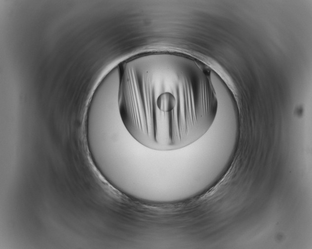 X0000099421388200805301358