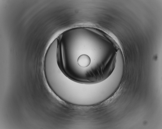 X0000099421389200805301358