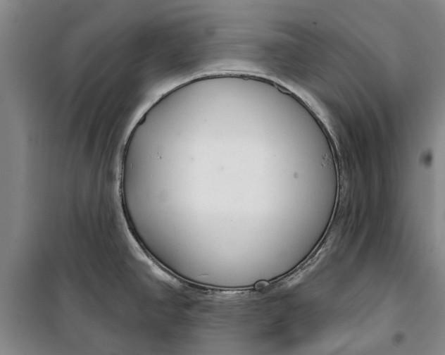 X0000099421390200805301358