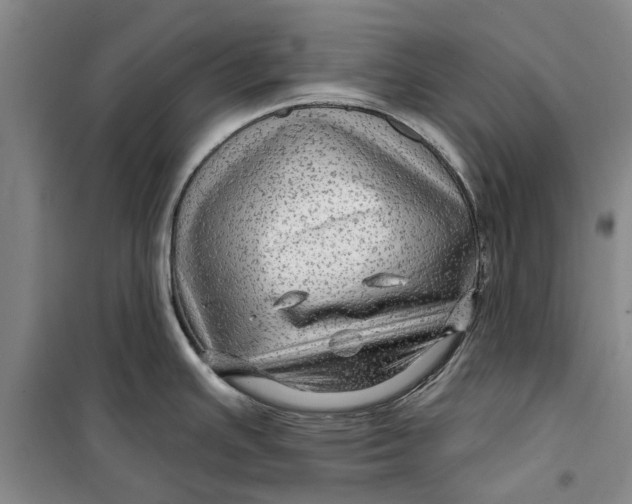 X0000099421391200805301358