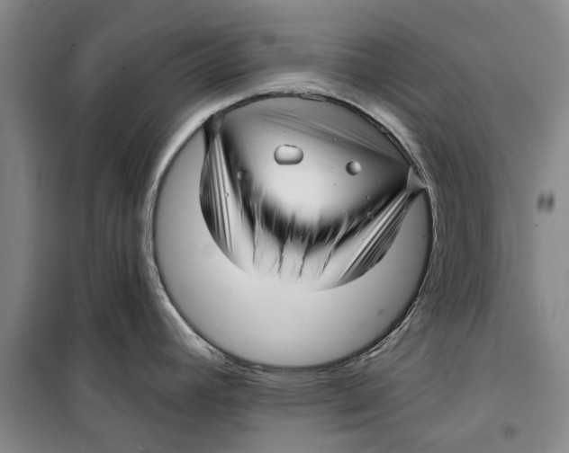 X0000099421392200805301358