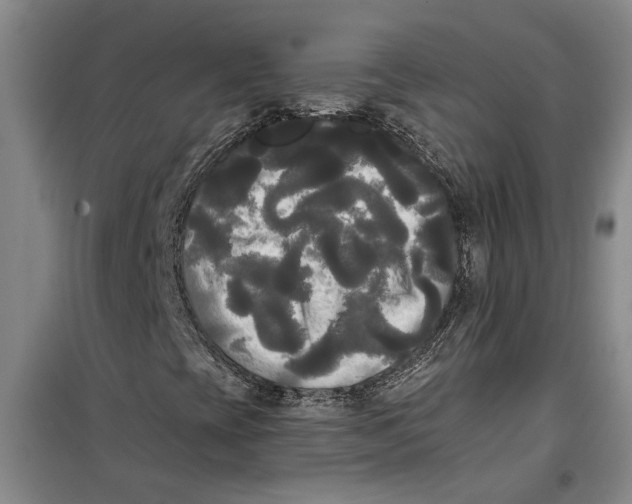 X0000099421393200805301357
