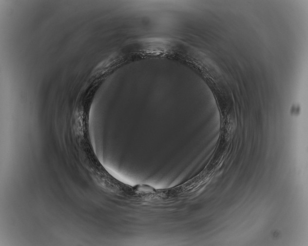 X0000099421394200805301357