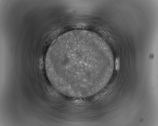 X0000099421395200805301357