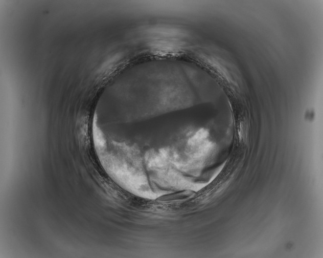 X0000099421396200805301357
