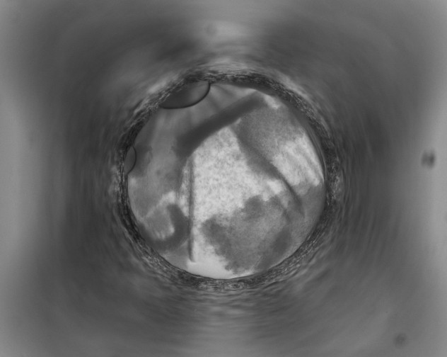 X0000099421397200805301357