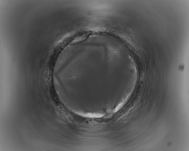 X0000099421398200805301357