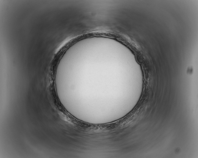 X0000099421400200805301357