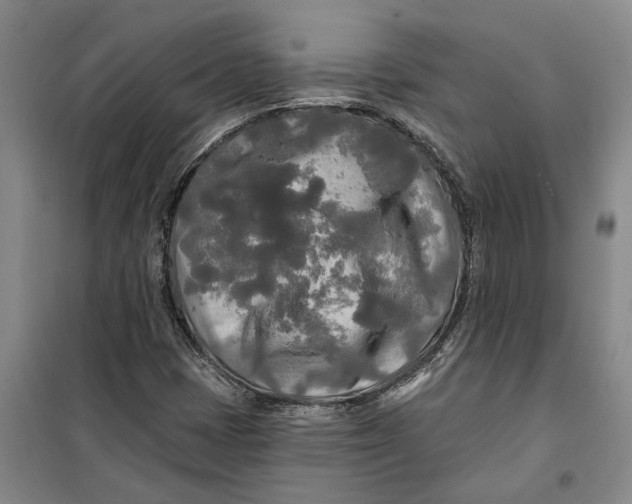 X0000099421401200805301357