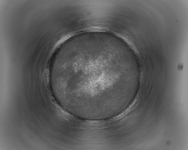 X0000099421402200805301357