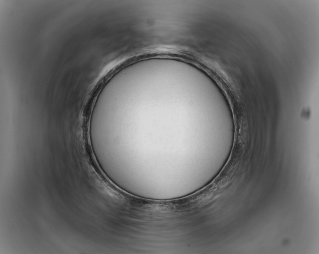 X0000099421404200805301357