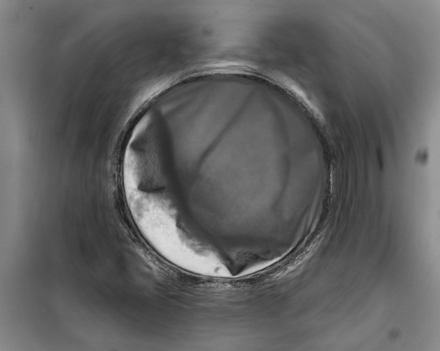 X0000099421405200805301357