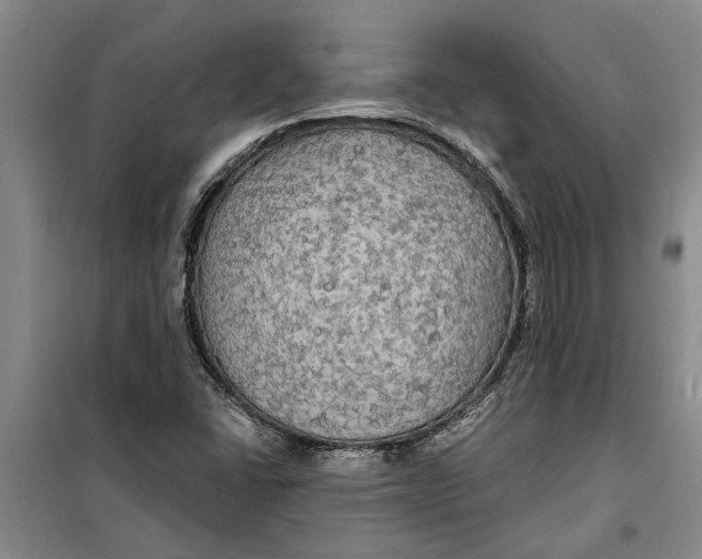 X0000099421406200805301357