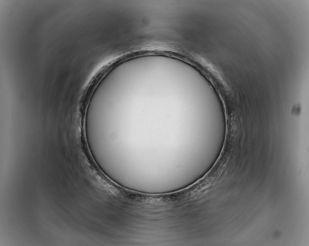 X0000099421408200805301357