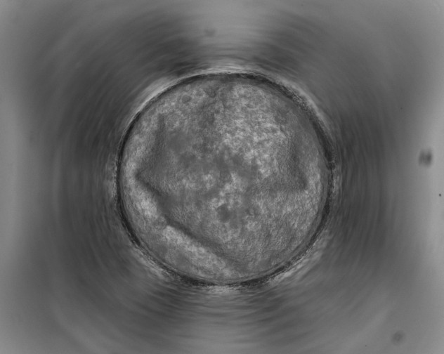 X0000099421409200805301357